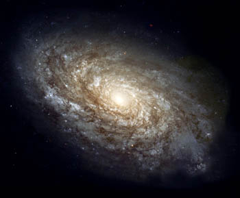 Magnificent Details in a Dusty Spiral Galaxy